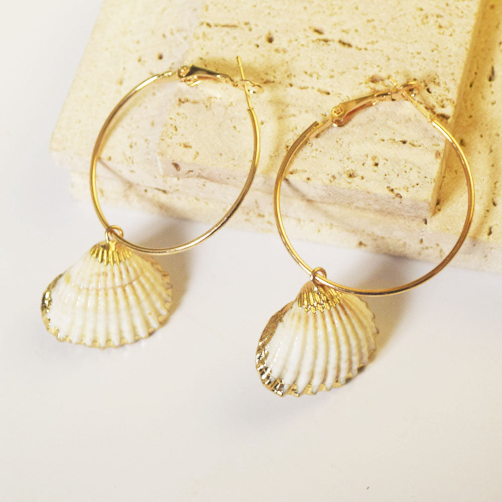 summer beach real cowrie shell hoop earrings