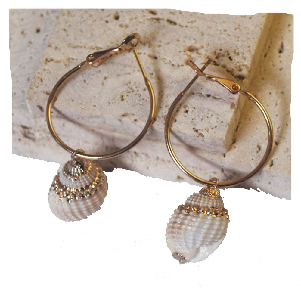 summer beach real cowrie shell hoop earrings